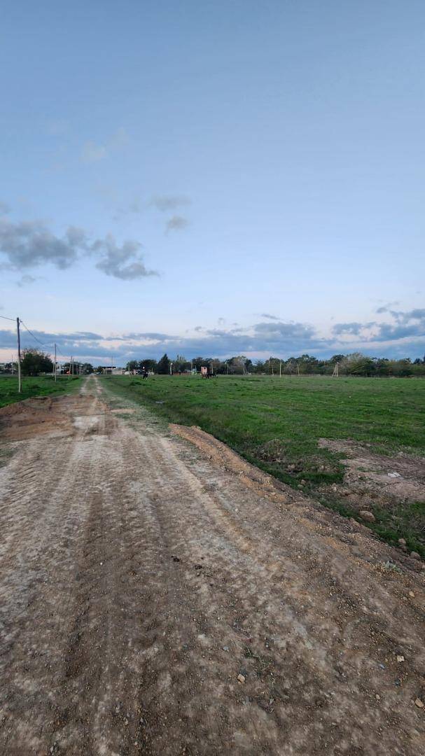 Altos de Lavalle — Calle interna del loteo