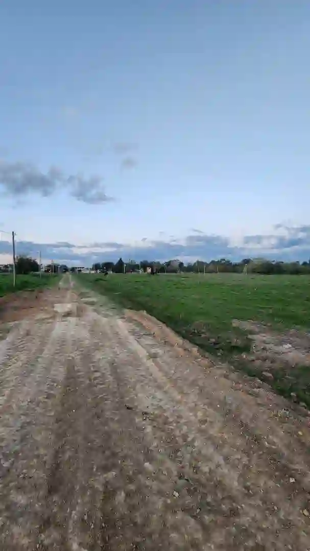 Altos de Lavalle — Calle interna del loteo